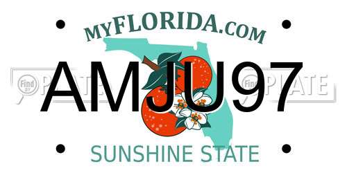 AMJU97 Florida License Plate