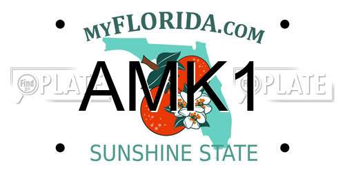 AMK1 Florida License Plate