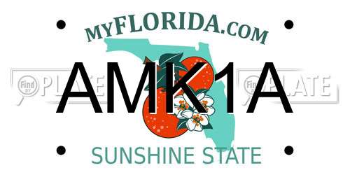 AMK1A Florida License Plate