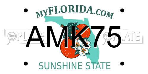 AMK75 Florida License Plate