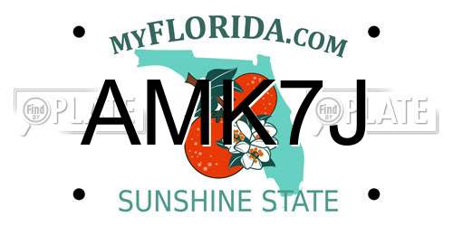 AMK7J Florida License Plate