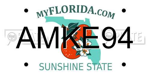 AMKE94 Florida License Plate