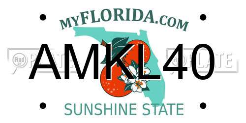 AMKL40 Florida License Plate