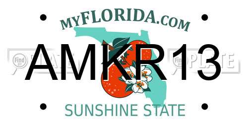 AMKR13 Florida License Plate