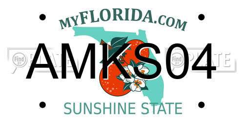 AMKS04 Florida License Plate
