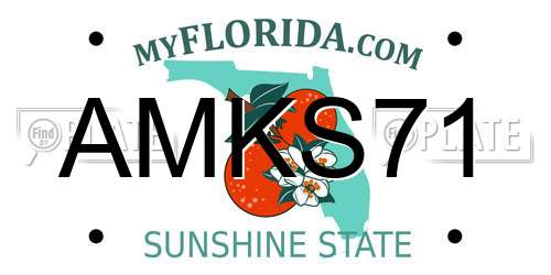 AMKS71 Florida License Plate