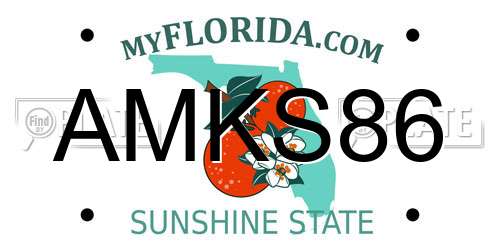 AMKS86 Florida License Plate