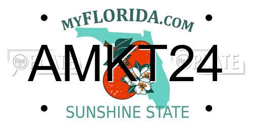 AMKT24 Florida License Plate