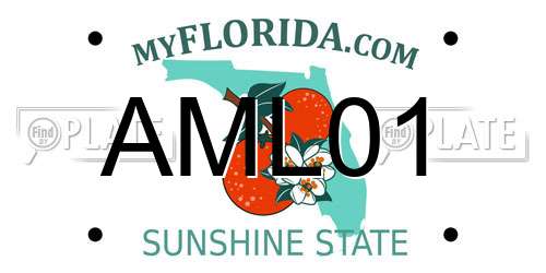 AML01 Florida License Plate