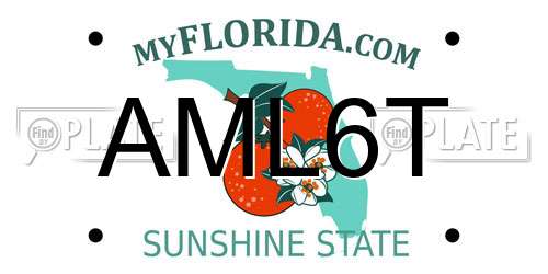 AML6T Florida License Plate
