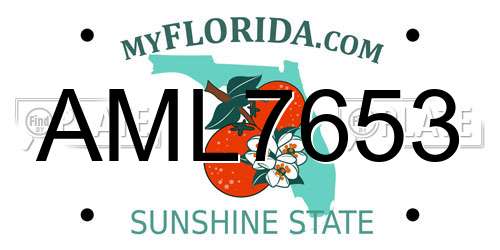 AML7653 Florida License Plate