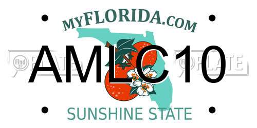 AMLC10 Florida License Plate