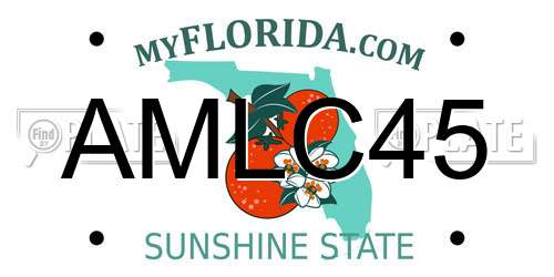 AMLC45 Florida License Plate
