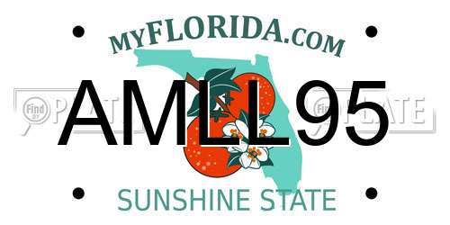 AMLL95 Florida License Plate