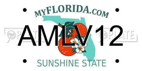 AMLV12 Florida License Plate