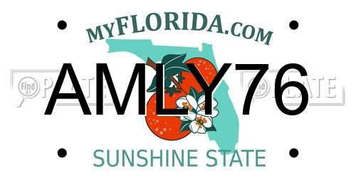 AMLY76 Florida License Plate