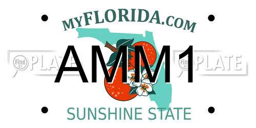 AMM1 Florida License Plate