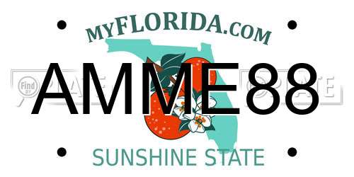AMME88 Florida License Plate