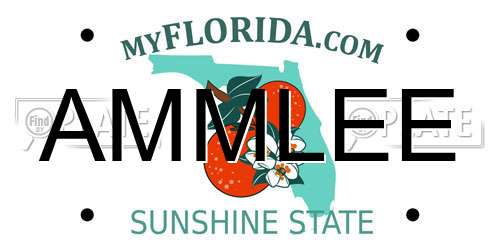 AMMLEE Florida License Plate
