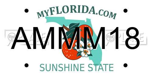 AMMM18 Florida License Plate