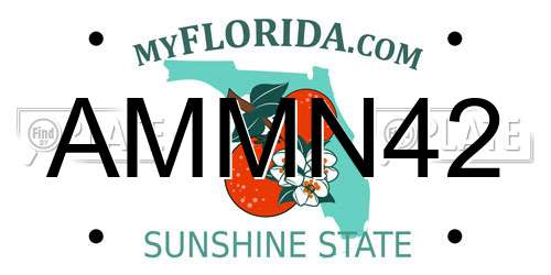 AMMN42 Florida License Plate
