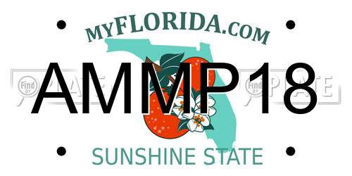 AMMP18 Florida License Plate