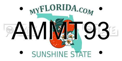 AMMT93 Florida License Plate