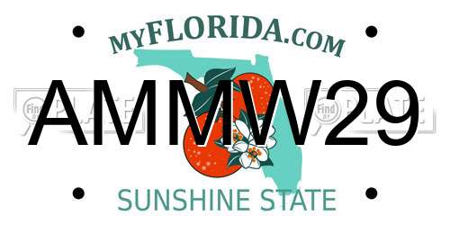 AMMW29 Florida License Plate