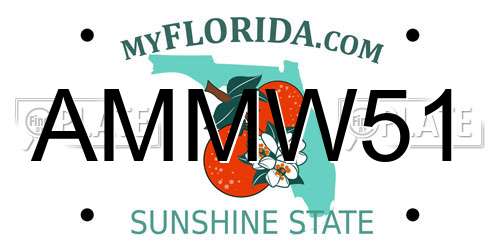 AMMW51 Florida License Plate
