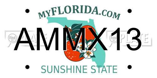AMMX13 Florida License Plate