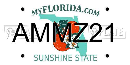 AMMZ21 Florida License Plate