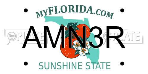 AMN3R Florida License Plate