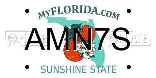 AMN7S Florida License Plate