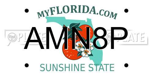 AMN8P Florida License Plate