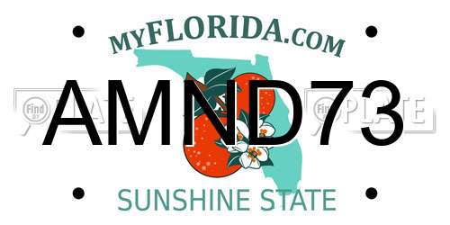 AMND73 Florida License Plate
