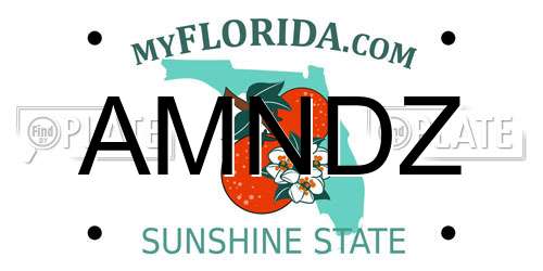 AMNDZ Florida License Plate