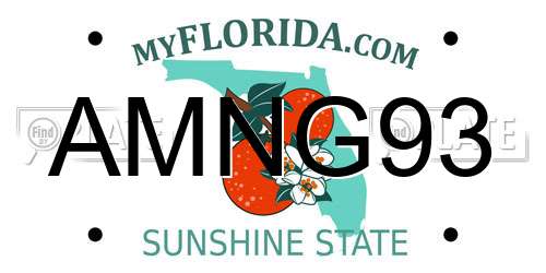 AMNG93 Florida License Plate