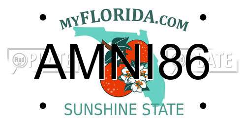AMNI86 Florida License Plate