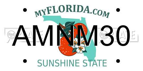 AMNM30 Florida License Plate