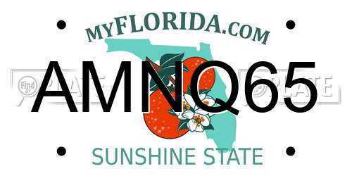 AMNQ65 Florida License Plate