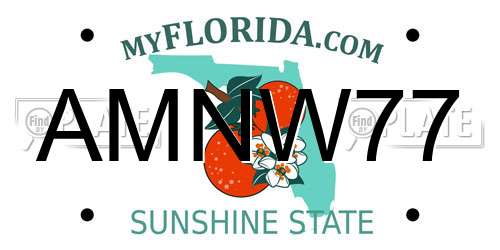 AMNW77 Florida License Plate