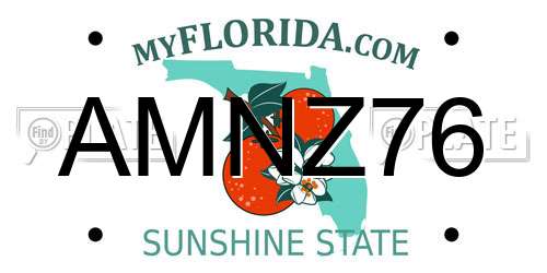 AMNZ76 Florida License Plate