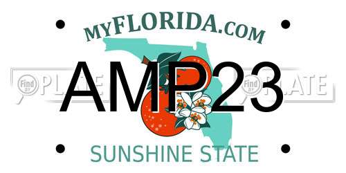 AMP23 Florida License Plate