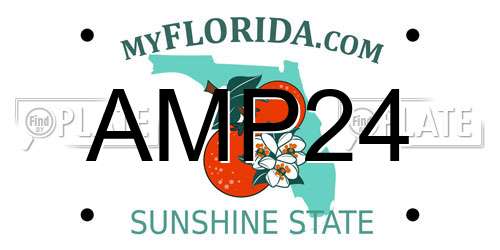 AMP24 Florida License Plate