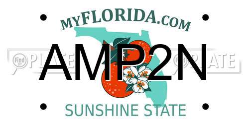 AMP2N Florida License Plate