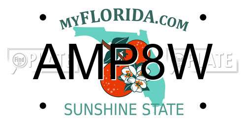 AMP8W Florida License Plate