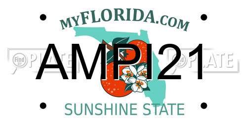 AMPI21 Florida License Plate