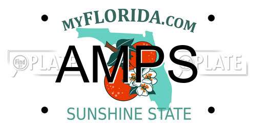 AMPS Florida License Plate