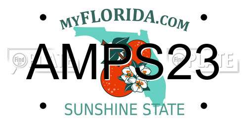 AMPS23 Florida License Plate