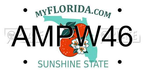 AMPW46 Florida License Plate